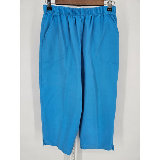 Vintage 1980s Double Take Womens Sz L Pull On Elastic Waist Capri Pants Blue