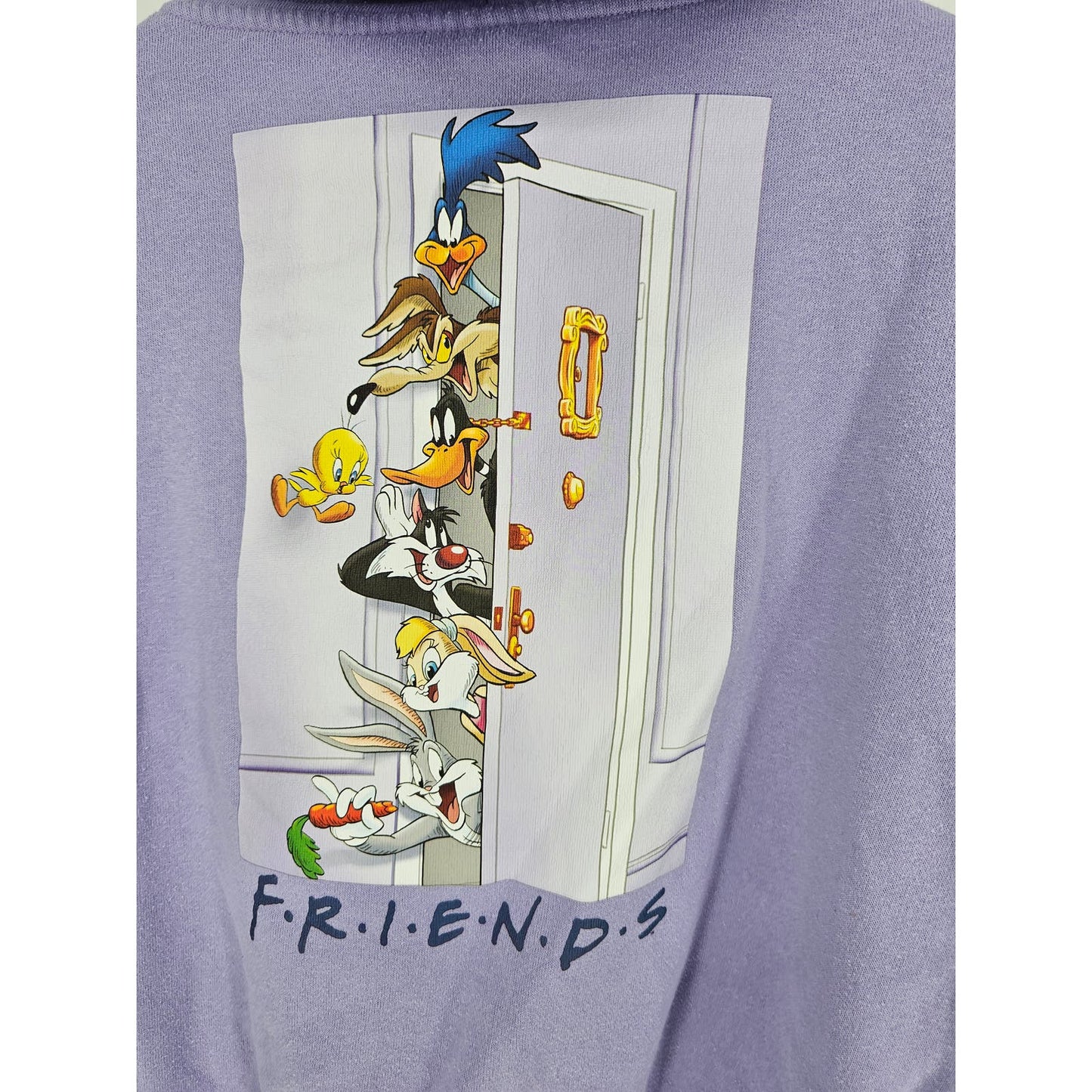 Warner Bros Store Womens M Zip Up Hoodie Sweatshirt Purple FRIENDS Looney Tunes