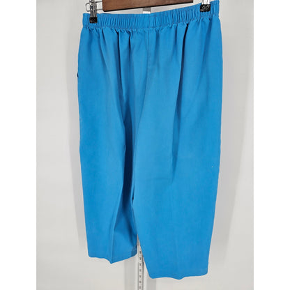 Vintage 1980s Double Take Womens Sz L Pull On Elastic Waist Capri Pants Blue