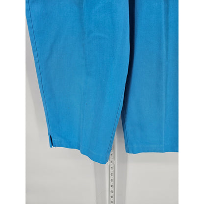 Vintage 1980s Double Take Womens Sz L Pull On Elastic Waist Capri Pants Blue
