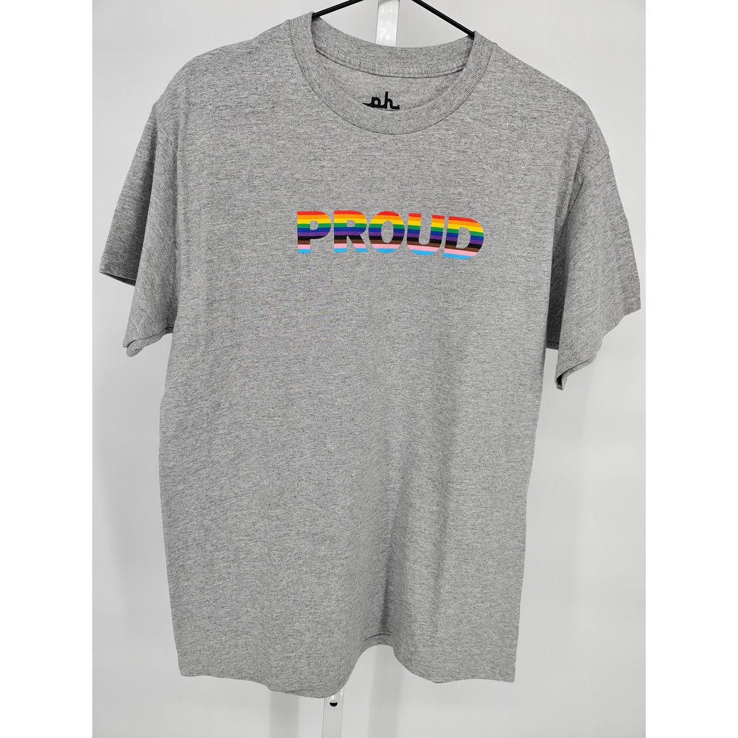 Phluid Project Womens Sz M Short Sleeve T Shirt Proud Pride Flag Gray