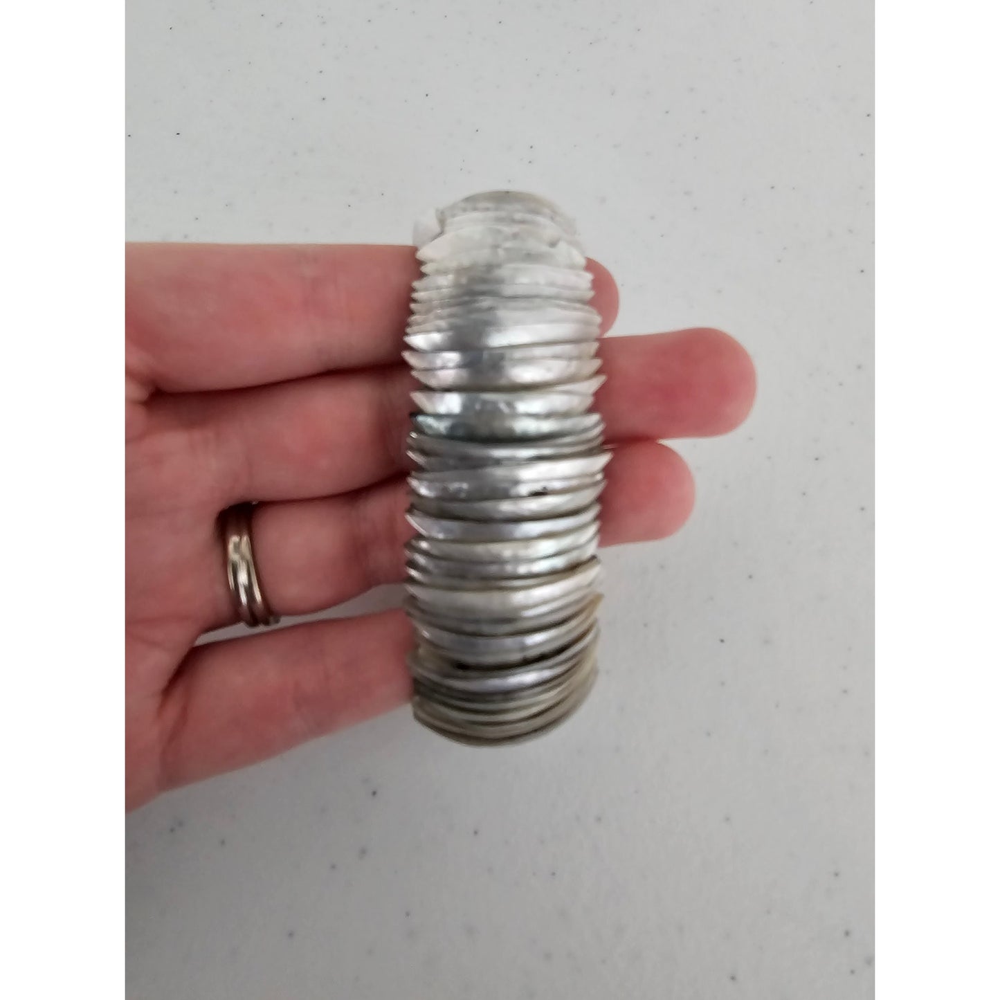 Vintage 1980s Statement Piece Chunky Vracelet Silver stacked Shells