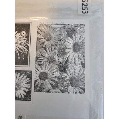 Lot of Unmounted Rubber Stamps Cutlines Penny Black Flowers Daisy